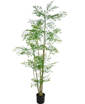 Artificiell Ruscus 210 cm är en hög konstgjord växt med smala gröna blad och flera tunna, bruna stjälkar i en liten svart kruka, mot en vanlig vit bakgrund.