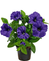 En konstgjord Petunia-växt UV 25 cm i lila med frodiga gröna blad, utställd i en kruka mot en vanlig vit bakgrund.