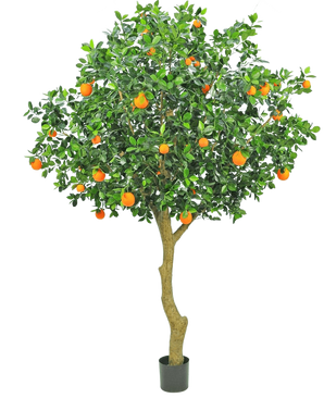 Det konstgjorda apelsinträdet 275 cm har en smal stam, täta gröna löv och levande orange frukter, vilket skapar ett realistiskt och dekorativt apelsinträd i en kruka mot en vanlig vit bakgrund.