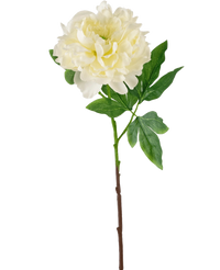 Konstgjord blomma Pion 61 cm vit