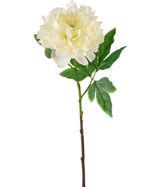 De Kunstbloem Pioen 61 cm wit is een kunstmatige witte pioenroos met gelaagde bloemblaadjes en groene blaadjes op een lange bruine steel, afgebeeld tegen een effen witte achtergrond.