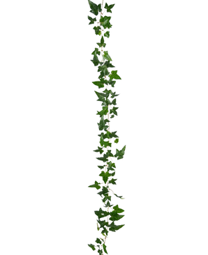 De Kunst hangplant Klimop Boston Slinger 180 cm groen heeft een enkele streng van groene klimop met puntige bladeren, verticaal hangend tegen een effen witte achtergrond.
