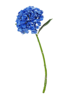De Kunstbloem Charlotte Hortensia Real Touch donkerblauw is een enkele blauwe kunsthortensia met groene steel en bladeren, 55 cm hoog, geïsoleerd op een witte achtergrond.
