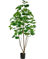 Den konstgjorda växten Ficus 210 cm är en hög krukväxt i kruka med flera smala bruna stjälkar och frodiga stora gröna blad, mot en vanlig vit bakgrund.