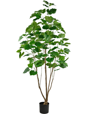 Den konstgjorda växten Ficus 210 cm är en hög krukväxt i kruka med flera smala bruna stjälkar och frodiga stora gröna blad, mot en vanlig vit bakgrund.