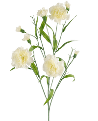 Konstgjord blomma Nejlika klase 70 cm vit