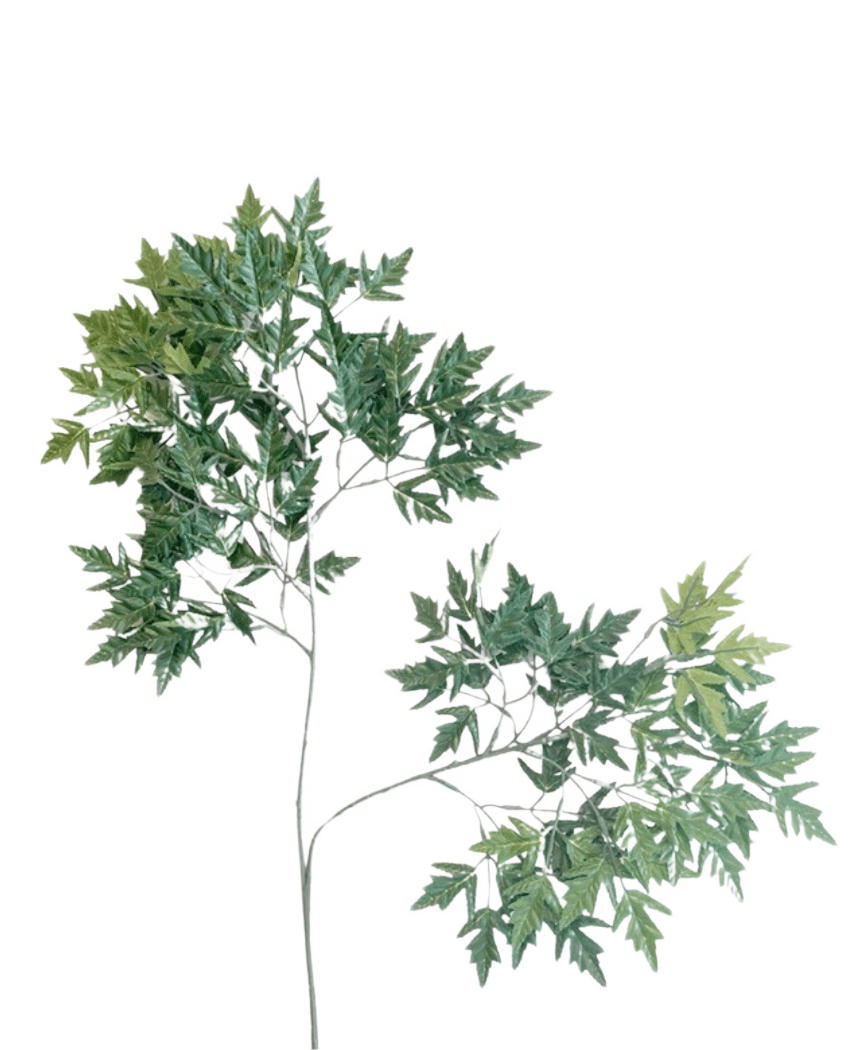 Artificiella Leaf Ming Aralia 50 cm gröna brandskyddsmedel är en lång, smal konstgjord växt med tunna stjälkar och knippen av gröna blad med tandade kanter mot en vanlig vit bakgrund.