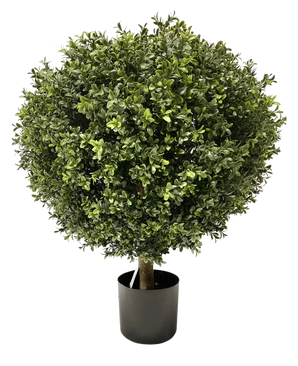 Artificiell buxbom på stam UV d60 cm är en tät, rund konstgjord topiary med små gröna blad och en synlig enkel stjälk, snyggt trimmad till en boll och placerad i en enkel svart kruka.