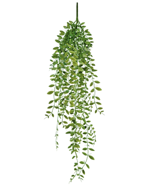 De Kunst hangplant Vetplant 76 cm heeft groene bladeren en dunne stengels tegen een effen witte achtergrond.