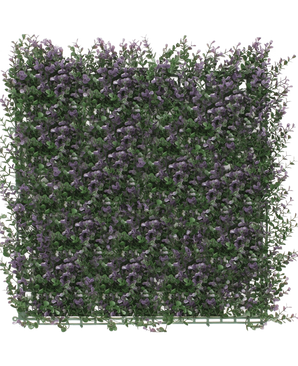 De Kunsthaag Buxus paars 50x50 cm UV is een dicht, vierkant paneel van kunstgroen met kleine paarse bloemen, waardoor een weelderige verticale tuinmat ontstaat die perfect is om een witte achtergrond op te fleuren.