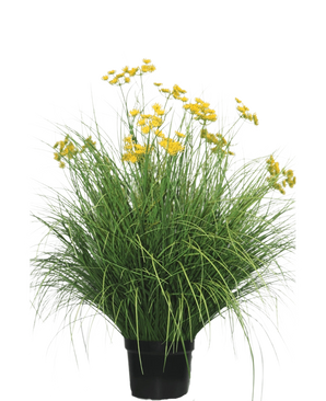 De Kunst Grasplant Asteraceae 100 cm brandvertragend heeft lange, smalle bladeren en trossen heldergele bloemen op hoge stelen. Deze onderhoudsvrije plant staat prachtig in elk interieur tegen een witte achtergrond.