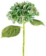De Kunst Hortensia Deluxe 33 cm donkergroen heeft een enkele langstelige groene hortensia met twee grote bladeren en een volle ronde tros bloemblaadjes, tegen een effen witte achtergrond.