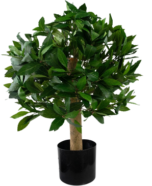 De Kunstplant Laurier UV d40 cm is een kleine kunstboom met dichte groene bladeren in een zwarte pot, afgebeeld tegen een effen witte achtergrond.