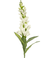 Konstgjord blomma Fingerborgsblomma 90 cm vit