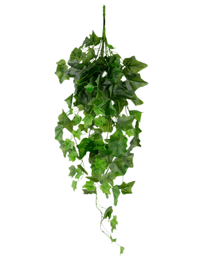 Artificiell murgröna 70 cm grön är en hängande konstgjord murgröna med hängande gröna blad och flera rankor mot en vanlig vit bakgrund.