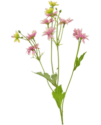 Konstgjord prästkrage 55 cm rosa