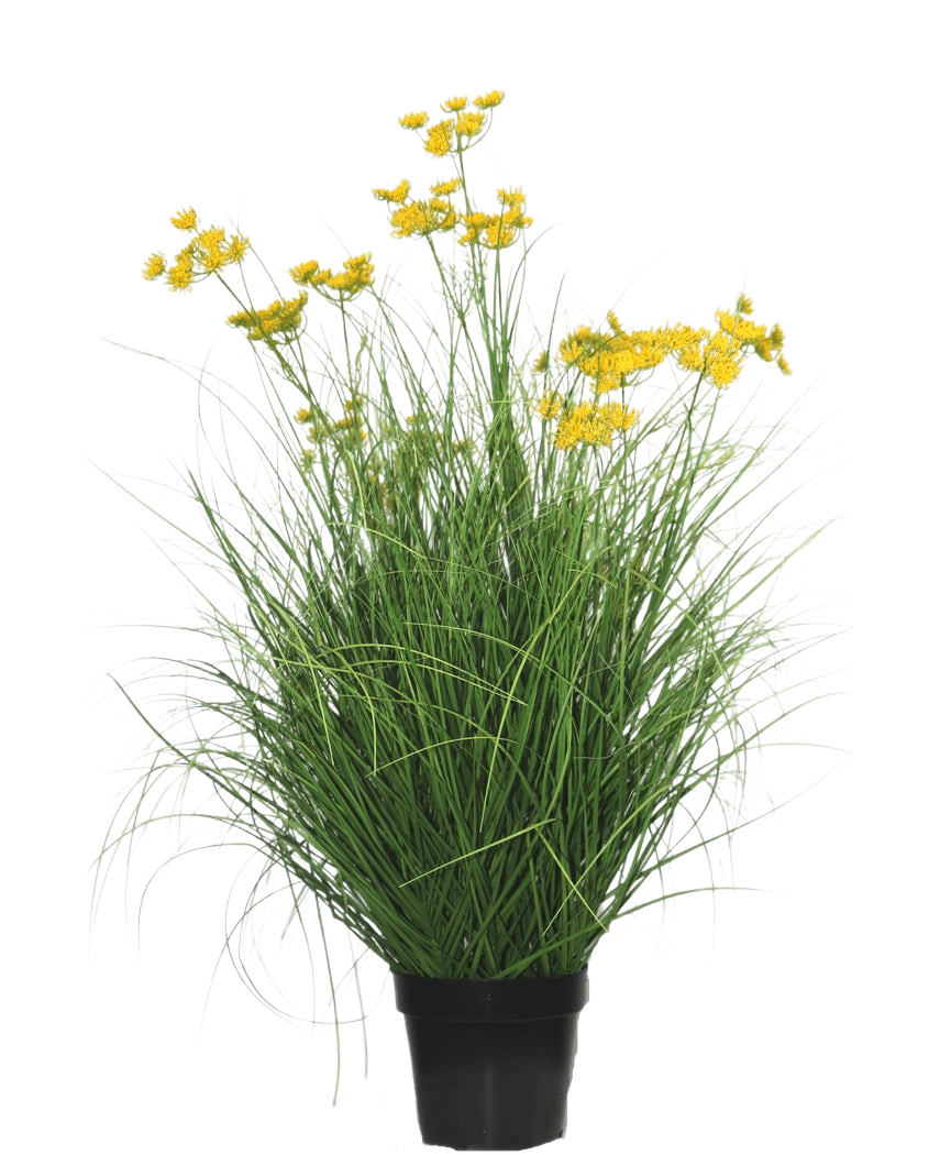 Konstgräsväxten Asteraceae 90 cm brandskyddsmedel har långa, smala gräsliknande blad och klasar av små, ljusgula blommor på långa stjälkar, mot en vanlig vit bakgrund.