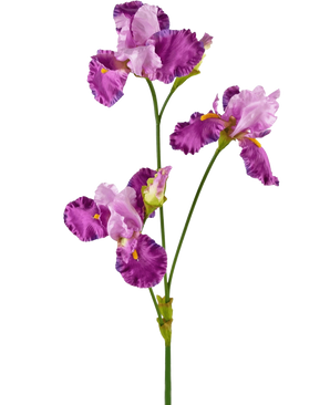 Den konstgjorda blomma Iris 102 cm lila har en lång grön stjälk dekorerad med flera livfulla lila och vita irisblommor, var och en med volanger på kronbladen och gula accenter, mot en vanlig vit bakgrund.