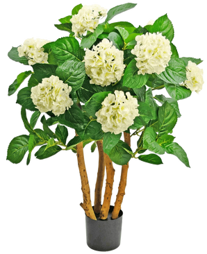 Artificiell hortensia UV 85 cm vit är en konstgjord växt i kruka med kraftiga bruna stjälkar, stora gröna blad och klasar av vita hortensialiknande blommor i toppen.