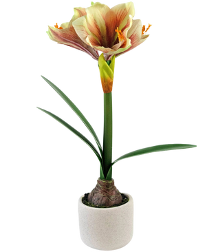 Den konstgjorda blomman Amaryllis Real Touch Röd/Gul 48 cm har naturtrogna gröna blad och en hög stjälk med trumpetformade röda och gula blommor, vackert presenterad mot en vit bakgrund.