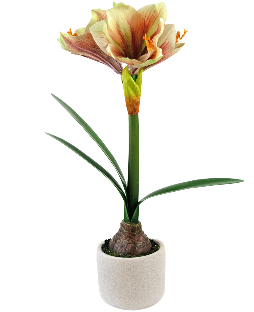 Den konstgjorda blomman Amaryllis Real Touch Röd/Gul 48 cm har naturtrogna gröna blad och en hög stjälk med trumpetformade röda och gula blommor, vackert presenterad mot en vit bakgrund.