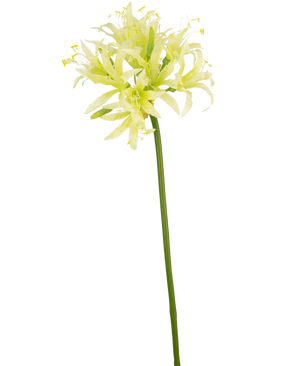 De Kunstbloem Nerine 70 cm groen heeft een lange groene steel met daarop delicate lichtgele en witte lelie-achtige bloemen, perfect als elegant zijde bloem accent in een decoratie vaas tegen een effen witte achtergrond.