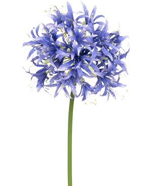 En konstgjord blomma Nerine 70 cm lila med många små stjärnformade lila blommor i en sfärisk klase på en lång grön stjälk, mot en vanlig vit bakgrund.