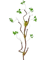 Den konstgjorda grenen Enkianthus 100 cm grön, en smal konstgjord ranka med små gröna blad och mossaaccenter, står mot en vanlig vit bakgrund.