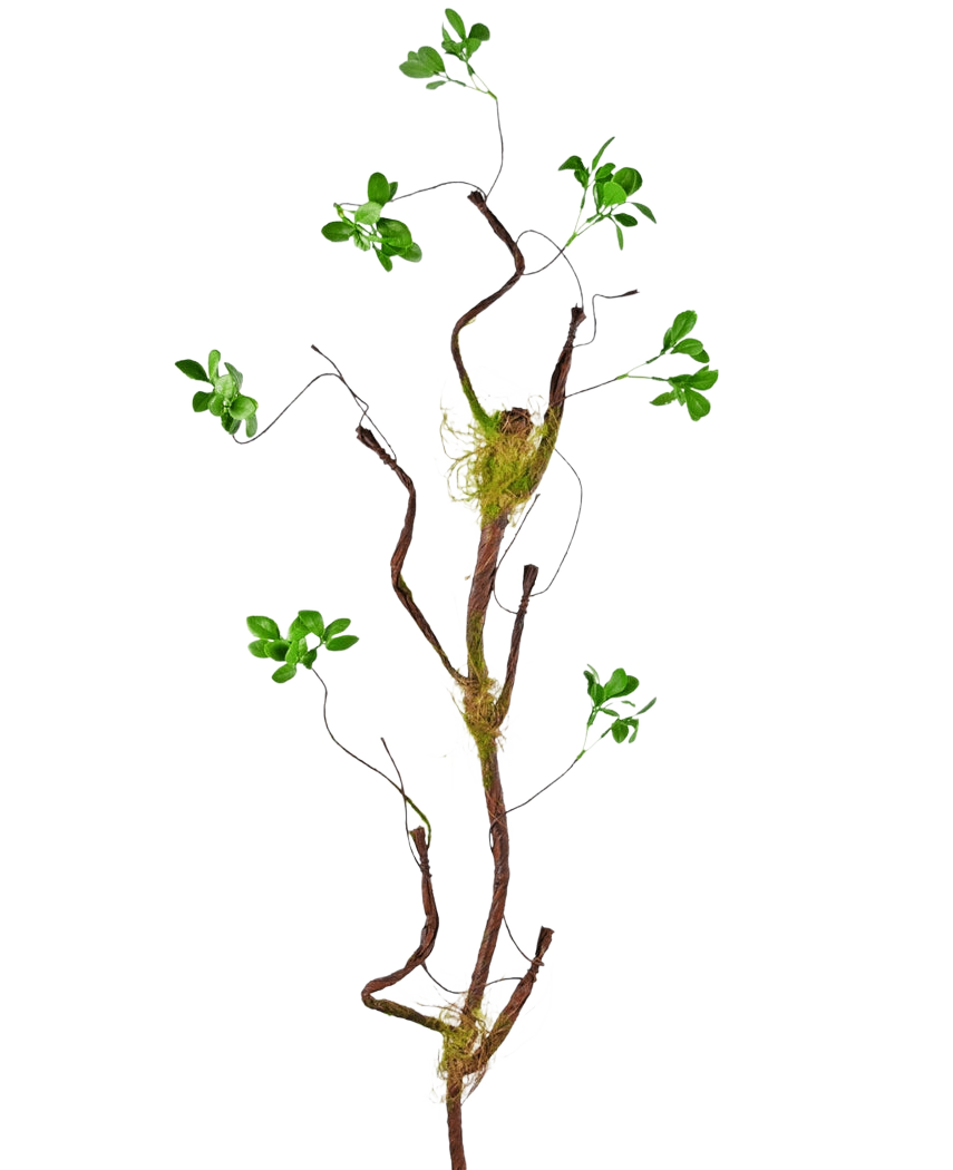 Den konstgjorda grenen Enkianthus 100 cm grön, en smal konstgjord ranka med små gröna blad och mossaaccenter, står mot en vanlig vit bakgrund.