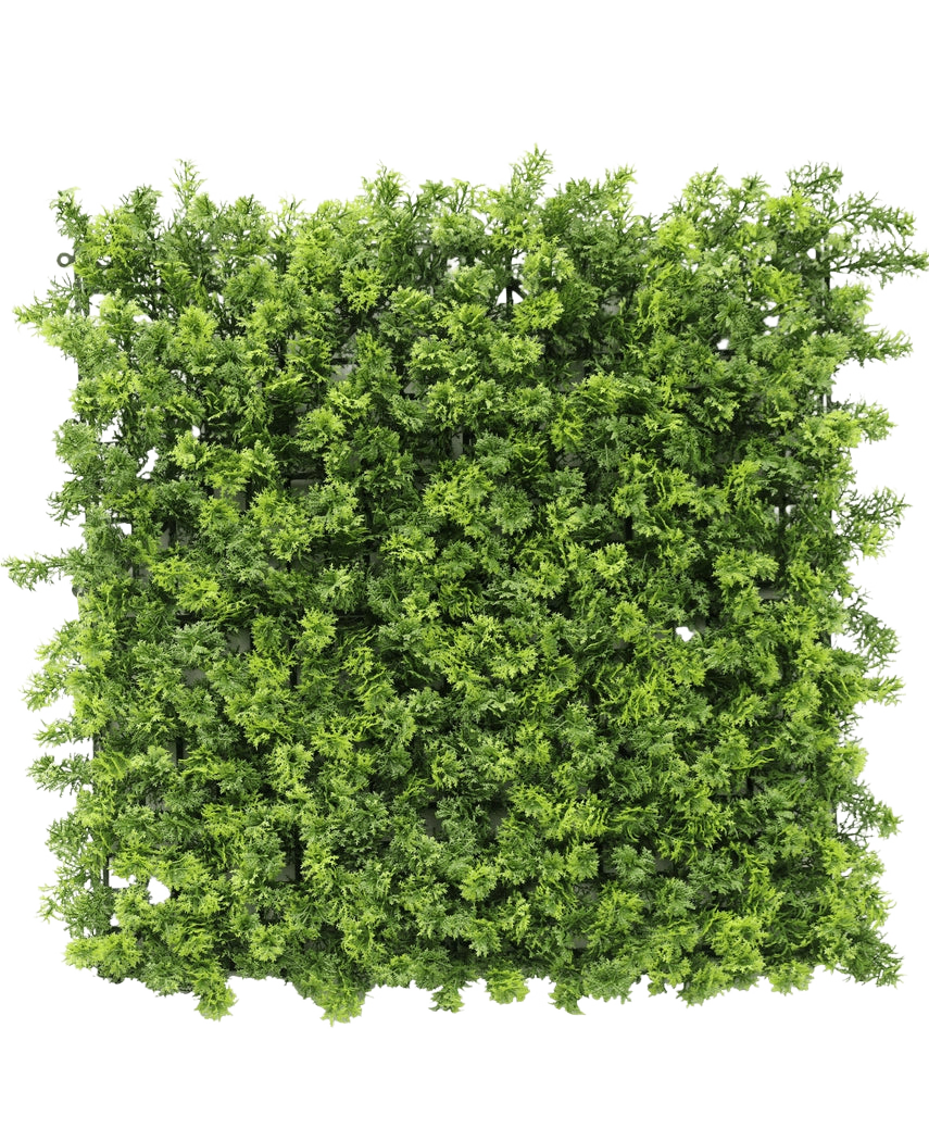 Artificiell Hedge Moss 50x50 cm UV är en tät fyrkantig panel av konstgjorda gröna bladverk med små bladgrenar, avbildad ovanifrån på en vit bakgrund.