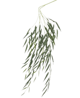 De Kunstblad Treurwilg 134 cm brandvertragend heeft lange, slanke groene bladeren die naar beneden hangen tegen een effen witte achtergrond en is behandeld met een brandvertragende coating voor extra veiligheid.