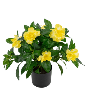 Den konstgjorda växten Gardenia UV 39 cm är en frodig grön konstgjord växt med stora, levande gula blommor och glansiga blad i en svart kruka, mot en vanlig vit bakgrund.