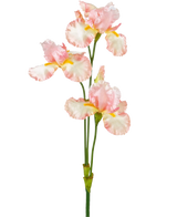 En konstgjord irisblomma 102 cm ljusrosa har flera fina ljusrosa och vita volanger med gula accenter mot en vanlig vit bakgrund.