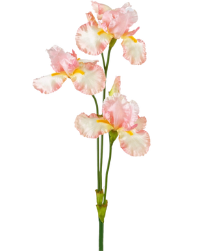 En konstgjord irisblomma 102 cm ljusrosa har flera fina ljusrosa och vita volanger med gula accenter mot en vanlig vit bakgrund.