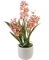 Den Artificiella Cymbidium 58 cm rosa växten har höga gröna blad och klasar av rosa och vita orkidéblommor, arrangerade i en enkel vit keramikkruka, perfekt för att lysa upp alla utrymmen.