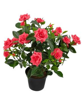 Artificiell växt Mini Rose UV 35 cm har en svart kruka fylld med en frodig konstgjord rosväxt med flera blommande rosa rosor och gröna blad mot en vit bakgrund.