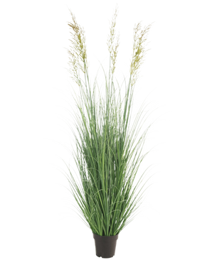 Konstgräsväxtvete 180 cm brandskyddsmedel har långa, smala gröna blad och tre spikformade fröhuvuden i en liten svart kruka - perfekt för en lyxig trädgård, helt underhållsfri och brandhämmande. Visas mot en vanlig vit bakgrund.