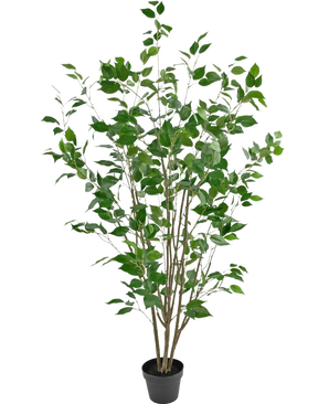 Den konstgjorda växten Ficus 150 cm är ett konstgjort träd i en kruka med flera smala bruna stammar och frodiga gröna blad mot en vanlig vit bakgrund.